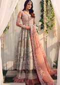 ✨ Luxury Embroidered Net Maxi ✨